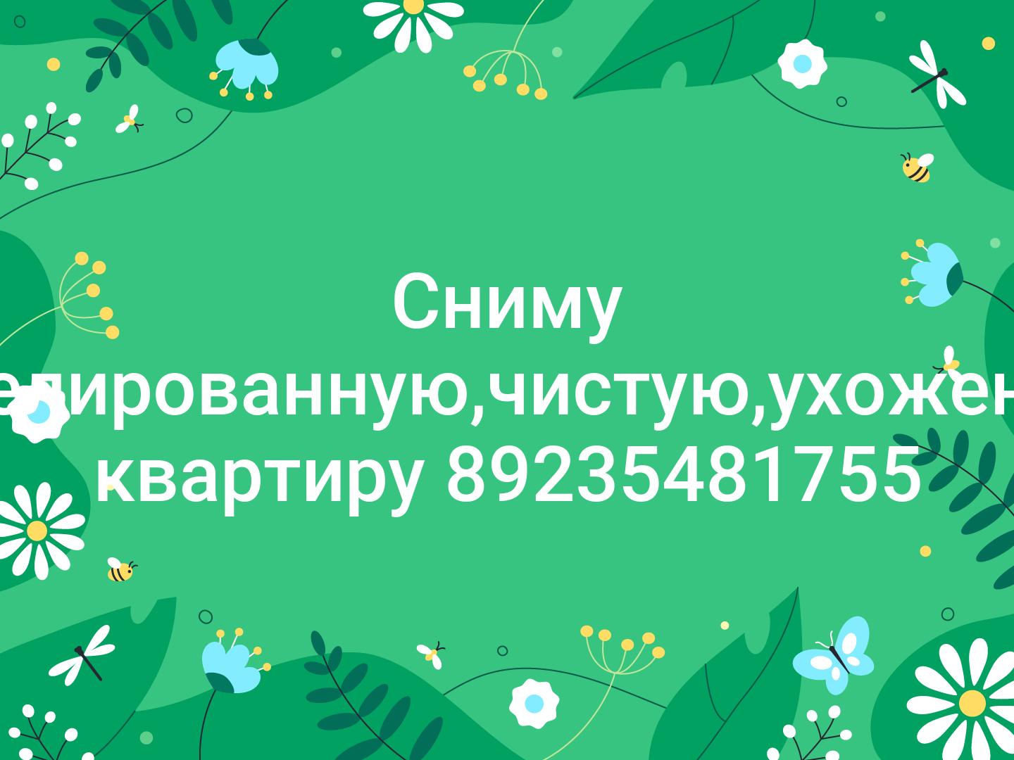 Сниму мебелированную,чистую,ухоженную квартиру 89235481755