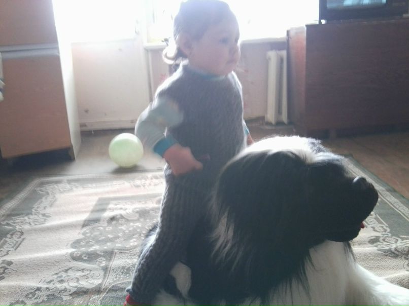 Сергей Лемиш фотография #29