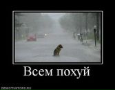 Фотография Володина Павла