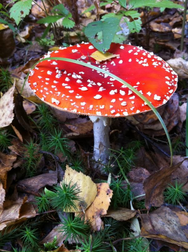 Андрей Евсюков фотография #27