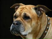 Фотография Жданова Евгения