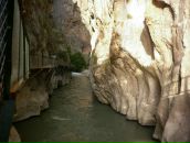 Evren Dervis фотография #21 (источник - https://vk.com/id91253386)