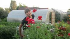 Фотография Racheva Anna