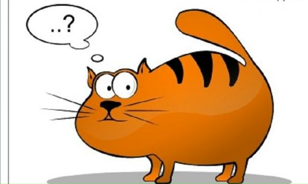 Bat Man фото №22