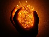 Фотография Неволина Антона