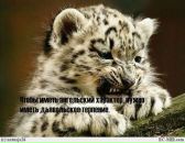 Фотография Александровны Евгении