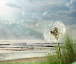 Фотография Андреевой Алены