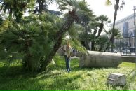 Фотография Розенберг Ирины