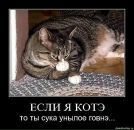 Маркіян Білий фотография #31 (источник - https://vk.com/id3189535)