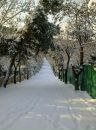 Yıldo Duman фотография #13 (источник - https://vk.com/id165987644)
