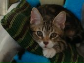 Фотография Коноваловой Виктории