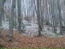 Ігор Гавриш фотография #38 (источник - https://vk.com/id92013500)