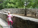 Ліза Овсійчук фотография #50 (источник - https://vk.com/id161794288)