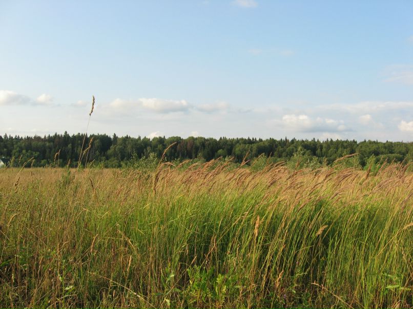 Наташа Дождёва фотография #19