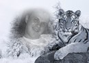 Максім Тімлєв фотография #37 (источник - https://vk.com/id164722591)