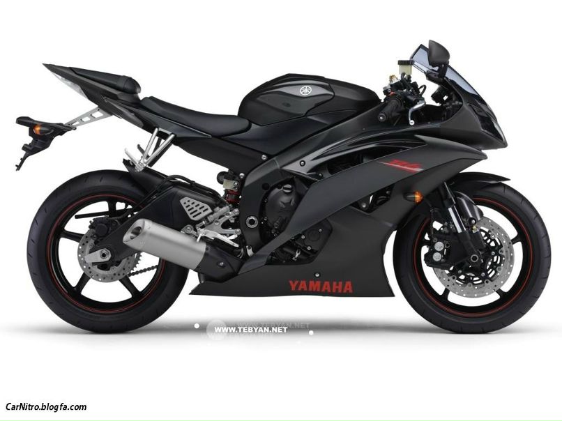 Тёма Сотник фотография #3