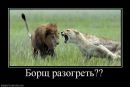 Фотография Латышевой Татьяны