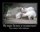 Фотография Барангова Оки