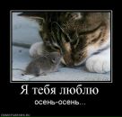 Фотография Шевченко Юлии