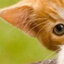 Андрій Чолій фотография #30 (источник - https://vk.com/id138222468)