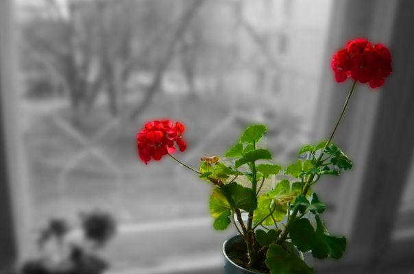 М@шутк@ Мишутk@ фото №2