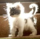 Фотография Анискиной Татьяны