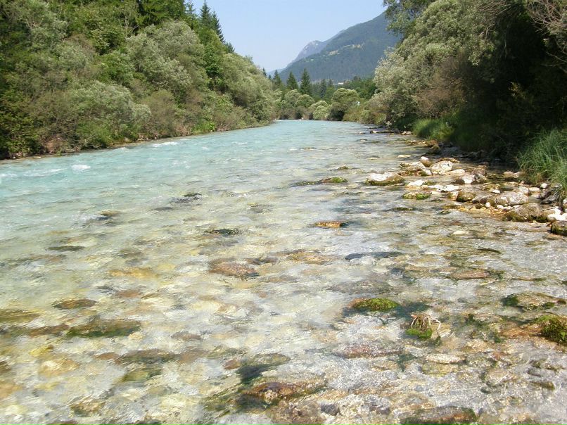 Ксения Черных фотография #28