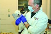 Саша Петрова фотография #7 (источник - https://vk.com/id814980)