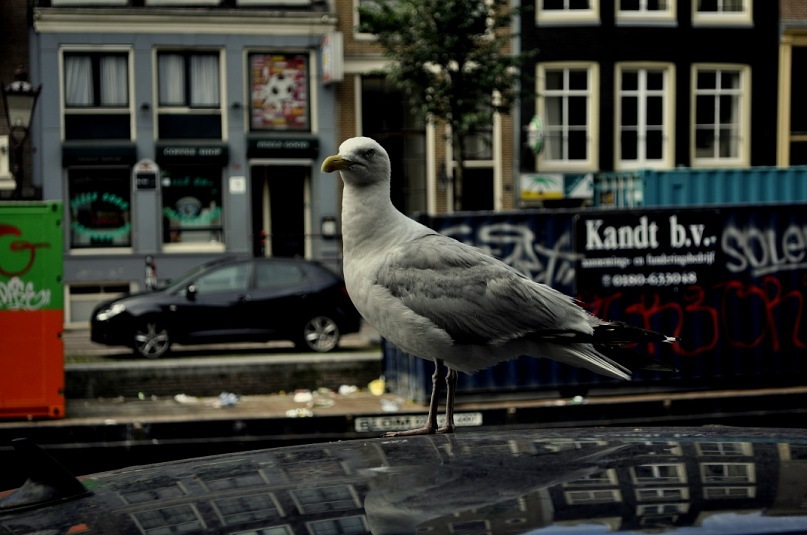 Иван Руденко фотография #47