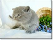 Фотография Рыбцевой Татьяны