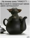 Йосип Ільчак фотография #26 (источник - https://vk.com/id453020340)