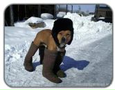 Євген Коломієць фотография #29 (источник - https://vk.com/id131939795)