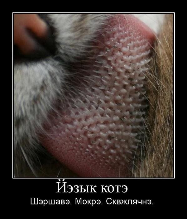 Гумар Исхаков фотография #14