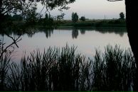 Фотография Кунегиной Лены