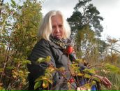 Фотография Герасимовой Светланы