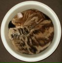 Фотография Солодовник (Сосонная) Марии