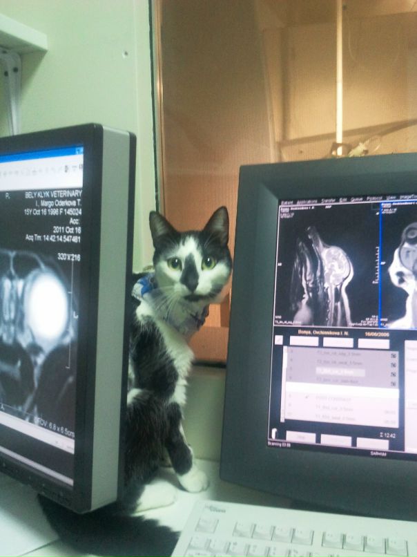 Иван Тюренков фотография #20