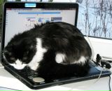 Фотография Бойко Татьяны