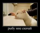 Діма Данилюк фотография #6 (источник - https://vk.com/id168964313)