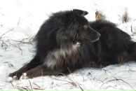 Сергей Мудрук фотография #33 (источник - https://vk.com/id675474)