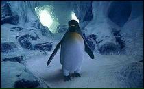 Фотография Викки Евгения