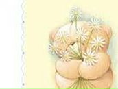 Інна Никифорук фотография #5 (источник - https://vk.com/id97968463)