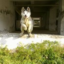 Kaan Bayrak фотография #6 (источник - https://vk.com/id169614346)