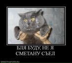 Фотография Чушева Витали