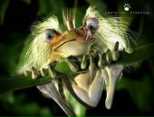 Фотография Власова Светлана