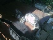 Іван Турчин фотография #19 (источник - https://vk.com/id12692263)