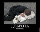 Діма Мотлюк фотография #15 (источник - https://vk.com/id92601340)