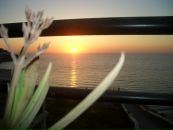 Deniz Kemal фотография #5 (источник - https://vk.com/id108247581)