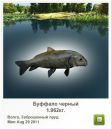 Олег Бердій фотография #45 (источник - https://vk.com/id76580477)