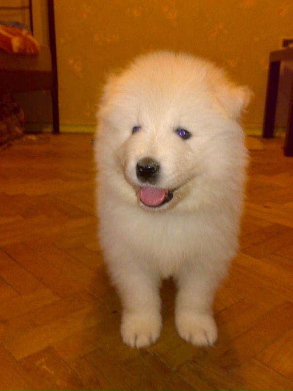 Данил Коротаев фотография #9